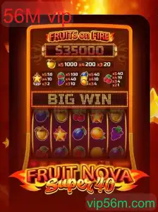 FruitNovaSuper40